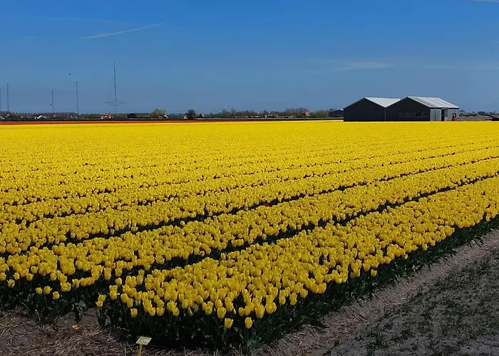 Bij van der Veer